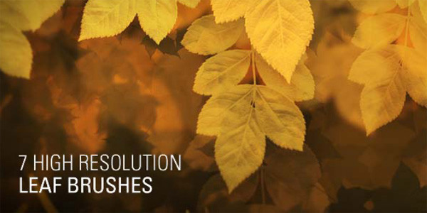100套新鲜免费的PS笔刷下载 优设网 of Photoshop Brushes You Should Have in 2012