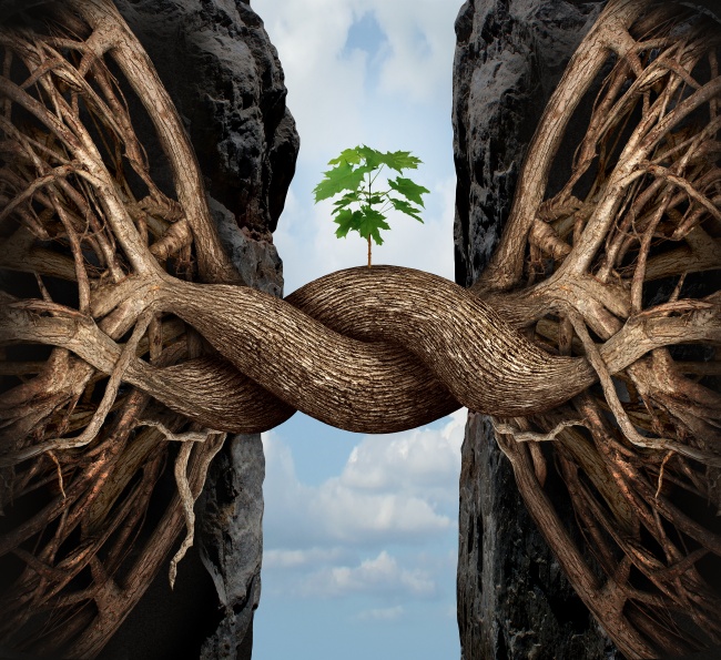 互联网初创公司如何做好产品体验设计 | 人人都