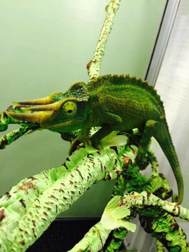 后台设计小结 | 人人都是产品经理