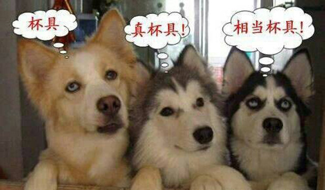 悲剧