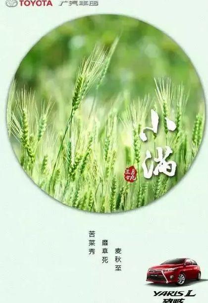 要看吗?这没人关注的小满借势文案&海报分享我做好了