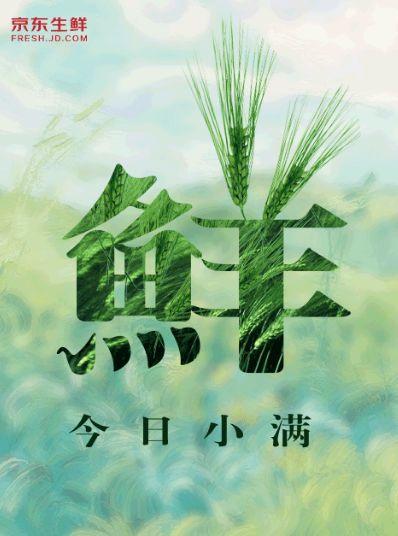 要看吗?这没人关注的小满借势文案&海报分享我做好了
