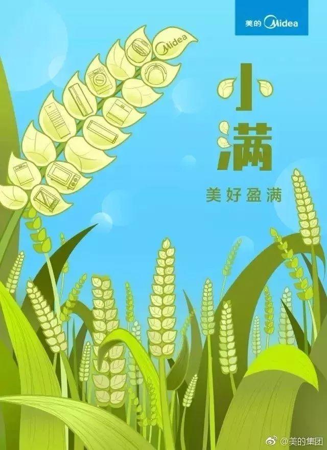 要看吗?这没人关注的小满借势文案&海报分享我做好了