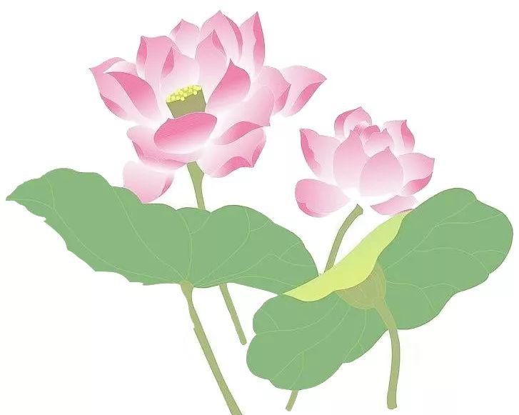 这个夏天·荷你相约!英德九龙小镇旅游文化节来袭,热气球、旗袍、美女,十里荷花...错过等一年 这个夏天·荷你相约!英德九龙小镇旅游文化节来袭,热气球、旗袍、美女,十里荷花...错过等一年