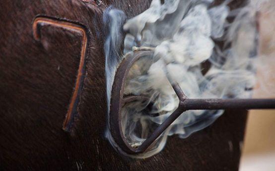 长春网站建设_长春网站制作_长春网站设计_网站建设_网站制作_网站设计_长春app开发 _长春app制作_长春小程序开发_长春微信开发_长春商标注册