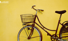 共享单车的盈利运营模型：利润可以来自反常识处