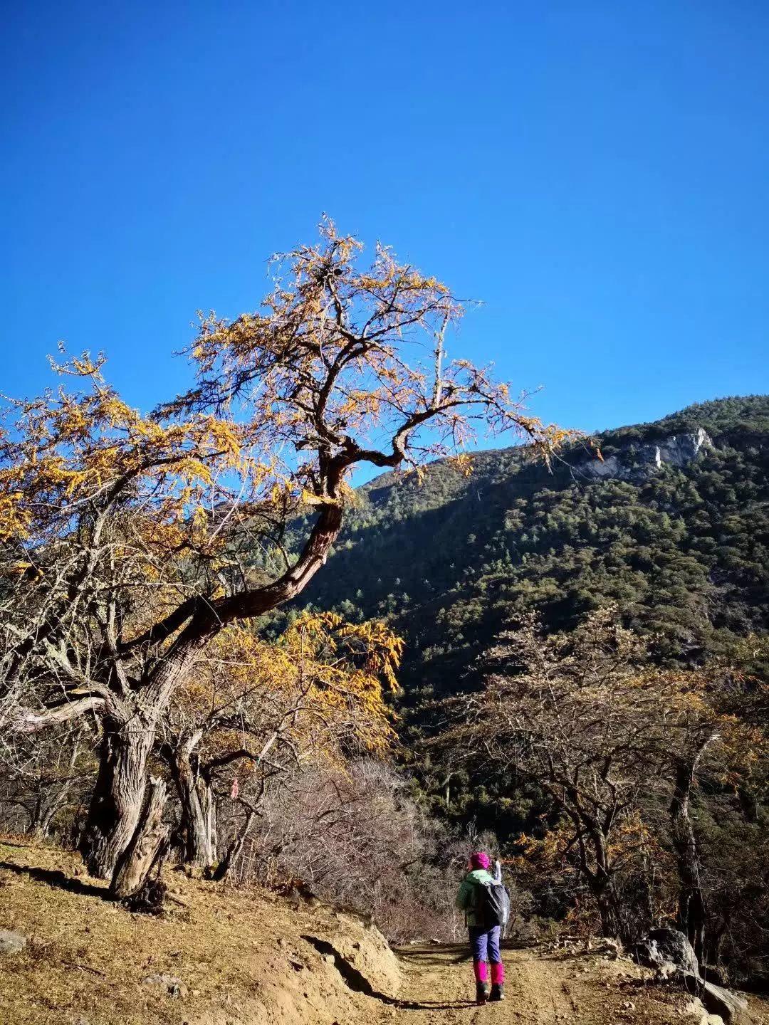 【大型徒步活动】60KM徒步朝圣|2019深盟第二届梅里雪山雨崩转山节 【大型徒步活动】60KM徒步朝圣|2019深盟第二届梅里雪山雨崩转山节
