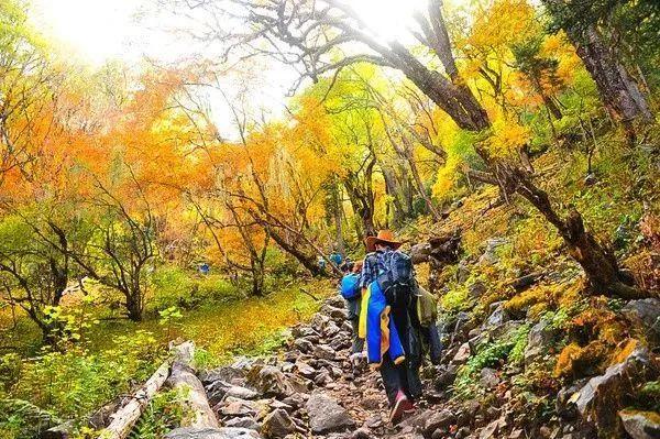 【大型徒步活动】60KM徒步朝圣|2019深盟第二届梅里雪山雨崩转山节 【大型徒步活动】60KM徒步朝圣|2019深盟第二届梅里雪山雨崩转山节