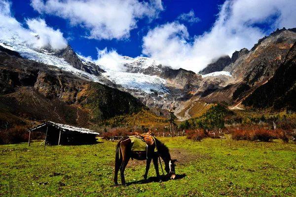 【大型徒步活动】60KM徒步朝圣|2019深盟第二届梅里雪山雨崩转山节 【大型徒步活动】60KM徒步朝圣|2019深盟第二届梅里雪山雨崩转山节