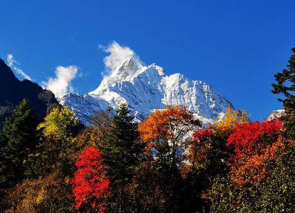 【大型徒步活动】60KM徒步朝圣|2019深盟第二届梅里雪山雨崩转山节 【大型徒步活动】60KM徒步朝圣|2019深盟第二届梅里雪山雨崩转山节