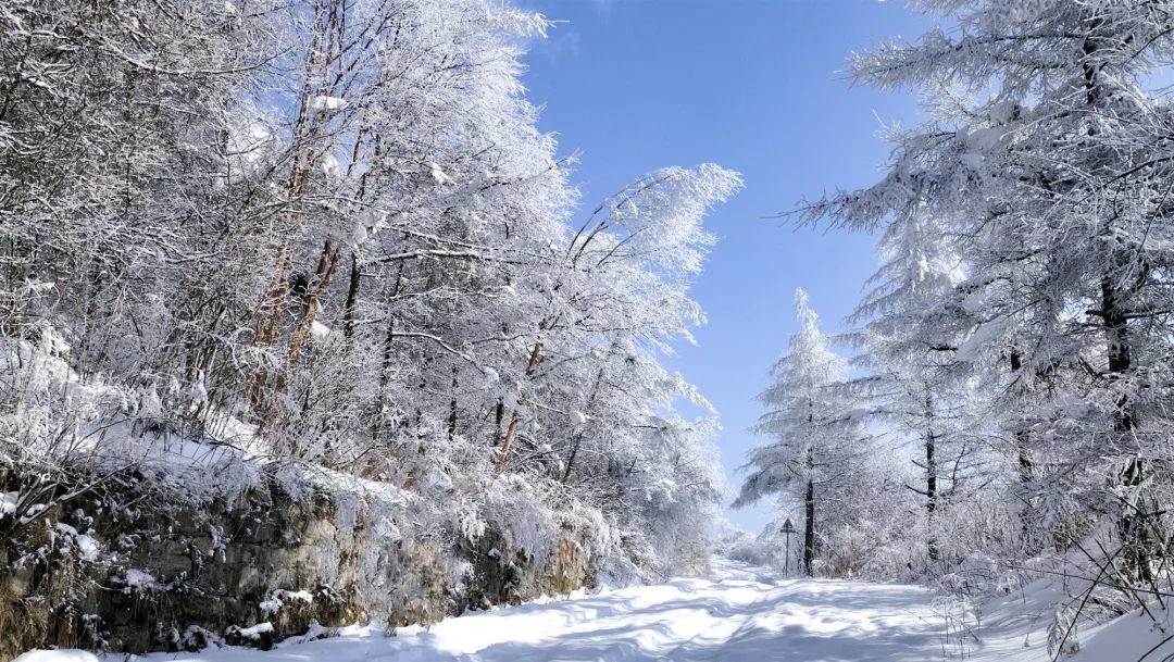 【冰雪梦幻B线8日】哈尔滨-亚布力/万科双滑雪-徒步林海雪原-雪乡-镜泊湖冬捕-长白山温泉-魔界-雾凇岛-查干湖冬捕 【冰雪梦幻B线8日】哈尔滨-亚布力/万科双滑雪-徒步林海雪原-雪乡-镜泊湖冬捕-长白山温泉-魔界-雾凇岛-查干湖冬捕