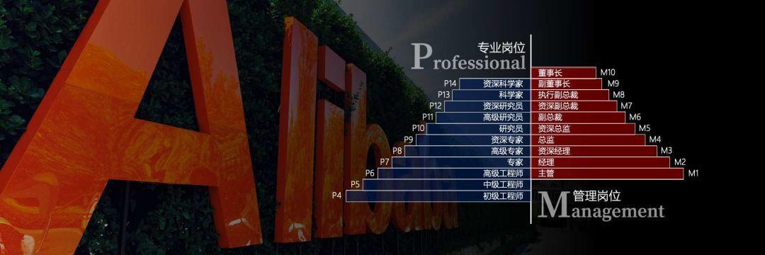 长春网站建设_长春网站制作_长春网站设计_网站建设_网站制作_网站设计_长春app开发 _长春app制作_长春小程序开发_长春微信开发_长春商标注册