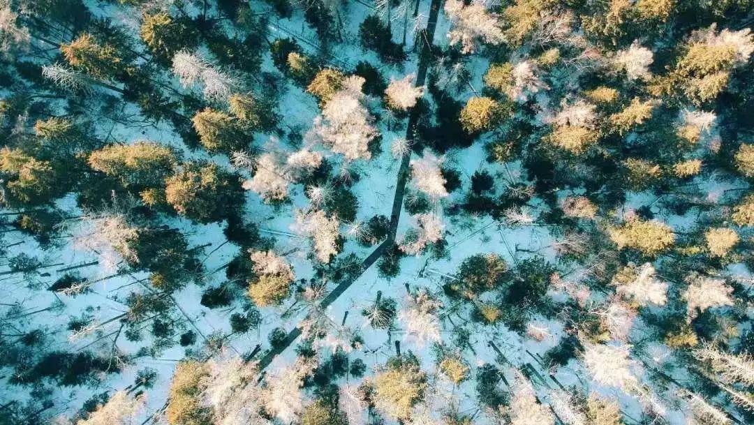 【冰雪梦幻B线8日】哈尔滨-亚布力/万科双滑雪-徒步林海雪原-雪乡-镜泊湖冬捕-长白山温泉-魔界-雾凇岛-查干湖冬捕 【冰雪梦幻B线8日】哈尔滨-亚布力/万科双滑雪-徒步林海雪原-雪乡-镜泊湖冬捕-长白山温泉-魔界-雾凇岛-查干湖冬捕