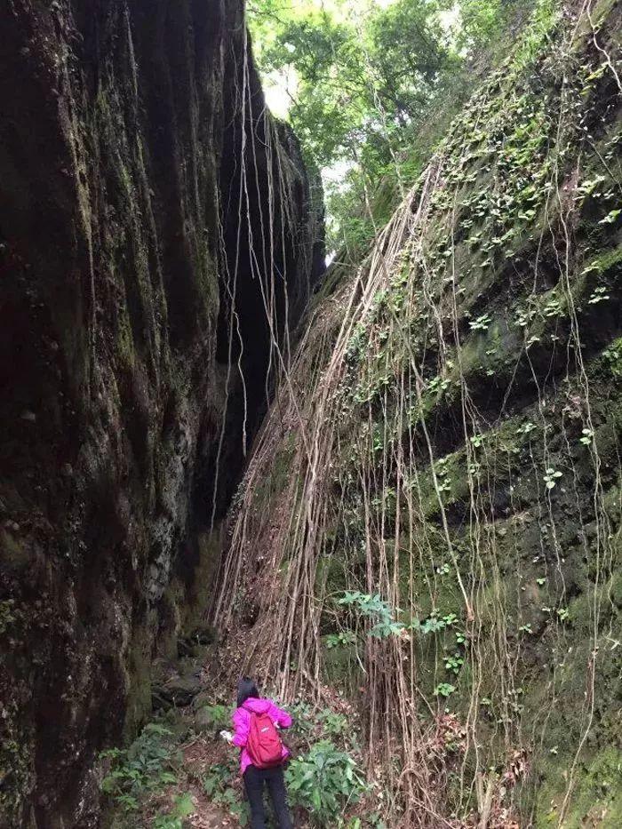【深圳户外】穿越惠州马鞍山,铁索攀登、穿过岩洞、一线天、大环线!(2019.10.13 ) 【深圳户外】穿越惠州马鞍山,铁索攀登、穿过岩洞、一线天、大环线!(2019.10.13 )