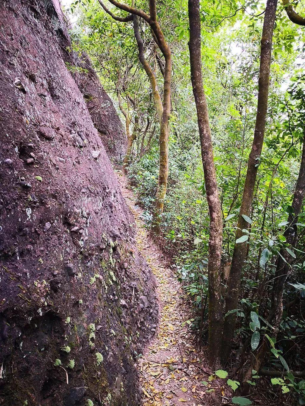 【深圳户外】穿越惠州马鞍山,铁索攀登、穿过岩洞、一线天、大环线!(2019.10.13 ) 【深圳户外】穿越惠州马鞍山,铁索攀登、穿过岩洞、一线天、大环线!(2019.10.13 )