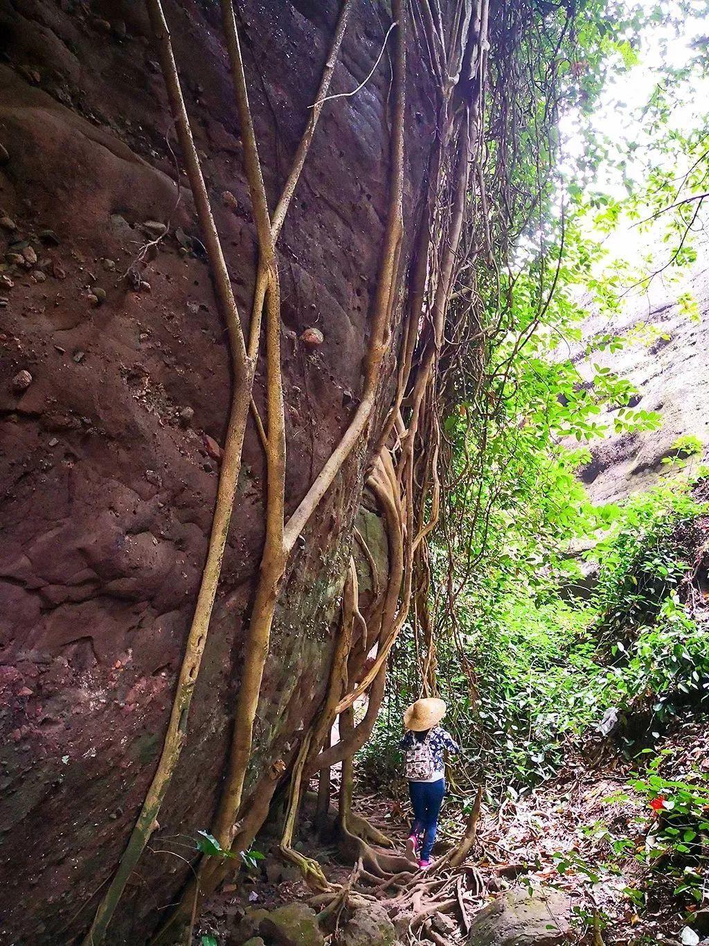【深圳户外】穿越惠州马鞍山,铁索攀登、穿过岩洞、一线天、大环线!(2019.10.13 ) 【深圳户外】穿越惠州马鞍山,铁索攀登、穿过岩洞、一线天、大环线!(2019.10.13 )