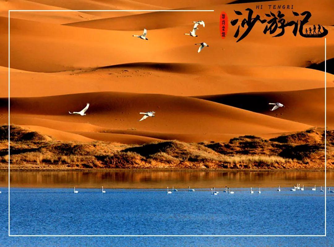 【深圳户外】2020年暑期沙漠轻徒步5天4晚研学之旅 【深圳户外】2020年暑期沙漠轻徒步5天4晚研学之旅