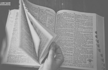 产品分析：背单词到底哪家强？