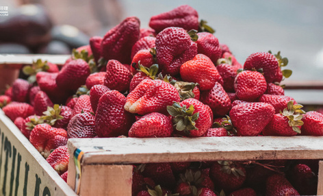 这届年轻人有多野：空姐回村，海归“农二代”，博士AI种草莓