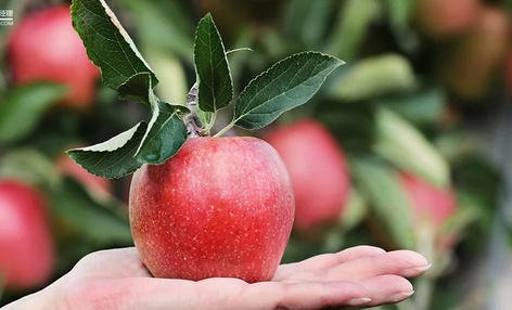 社区团购，到底是在提高效率，还是在抢夺饭碗？