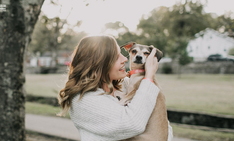 宠物家电新风口下暗藏隐忧