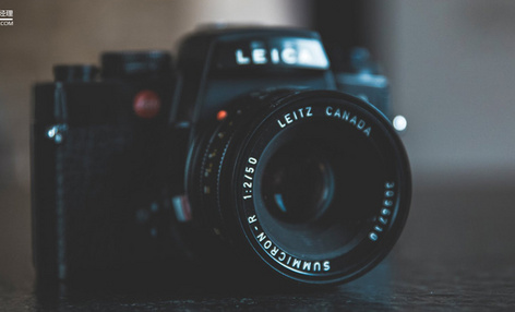 知乎重金做视频，吃力不讨好，为啥这么犟？