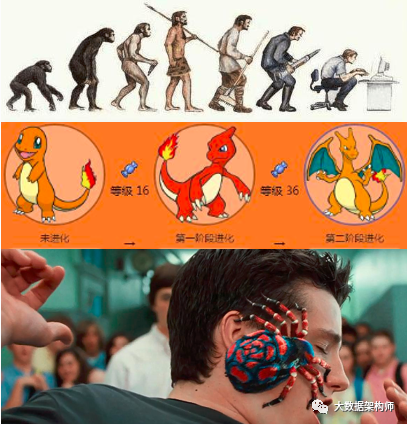 数字化转型是自上而下,还是自下而上? 数字化转型是自上而下,还是自下而上?