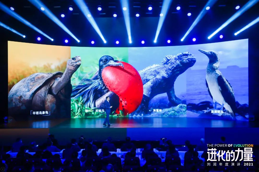 刘润2021年度演讲：进化的力量——从“达尔文雀”到疯狂生长