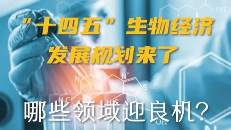长投逻辑依然坚实，医药板块成“加仓”热点