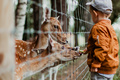 红山动物园游记 – 传统商业中经营观察