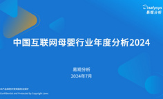 中國(guó)互聯(lián)網(wǎng)母嬰行業(yè)年度分析2024