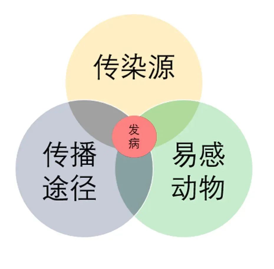 《黑神话·悟空》的6个营销启示