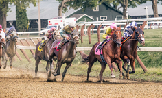 AI 时代，我们像马一样奔跑，却忘了自己应该是骑手