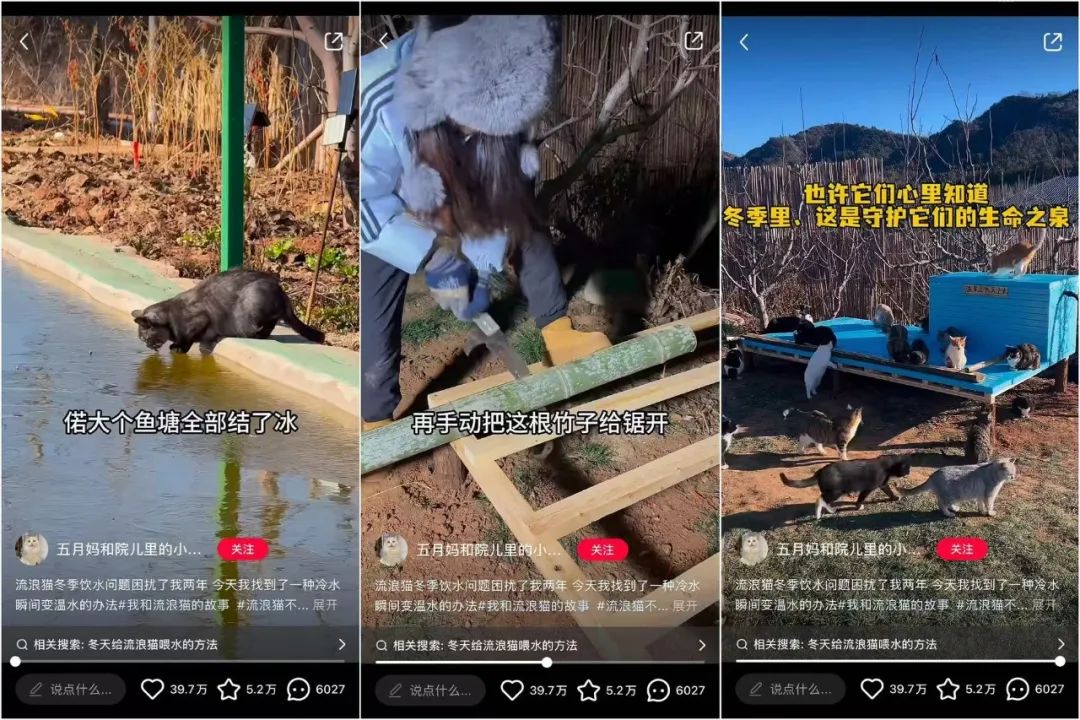 小红书2025年涨粉密码