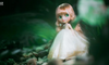 讓00后“淪陷”的棉花娃娃，究竟隱藏著哪些消費密碼？