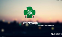 生鲜B2B商业计划书模板：六大模块全拆解