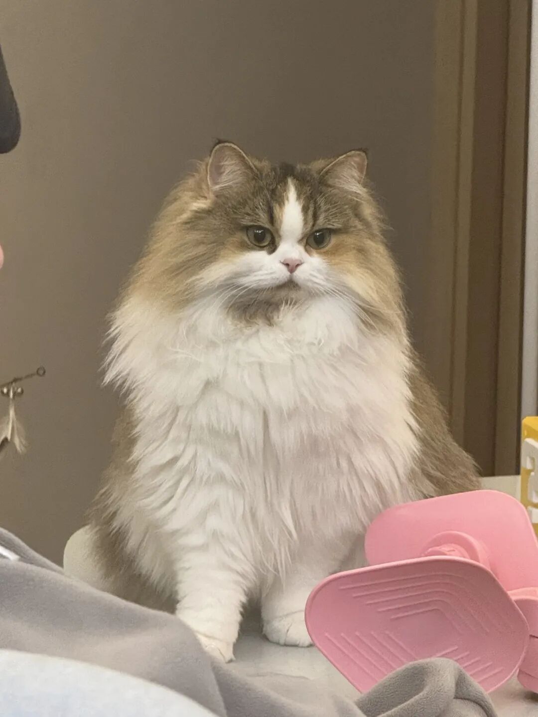 谷歌Nano Banana Pro新出20种邪修玩法