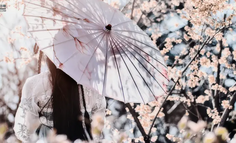 6天播放破亿，AI真人短剧跑出现象级爆款