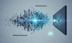 2026 To B 生存实录：消失的群体和变异的组织