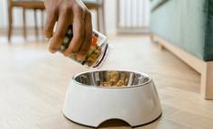 给“毛孩子”吃好点，为什么难成好生意？