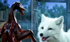 笑疯全网的AI短剧！雪山救狐狸后，结果酱板鸭来寻仇了