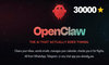 GitHub 30万星，但99%的人看错了OpenClaw在做什么
