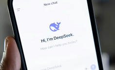 谁，“逼停”了DeepSeek？