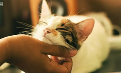 又一个AI赛道爆发，暴涨300%，有商家年入千万