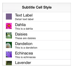 20-subtitle cell