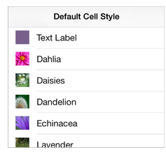 19-default cell