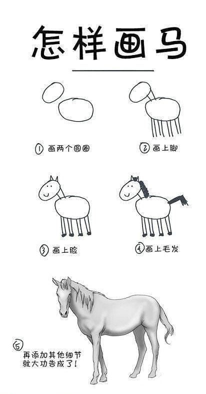 教你如何画马