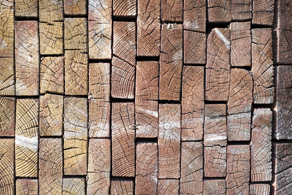Wood Bricks