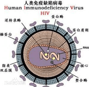 hiv (1)