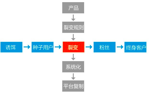 二,裂變=載體 工具 創意 價值 技術 運營